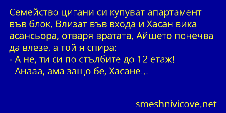 Цигани – Най-яките вицове