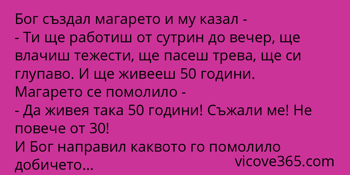 Бог създал магарето и му казал…